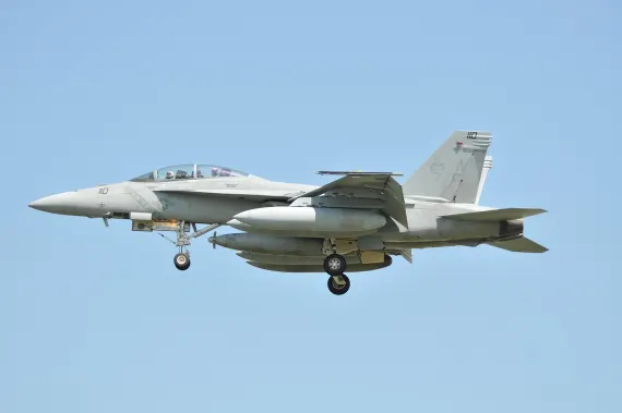 ג'לי בין קזינו תמיכה